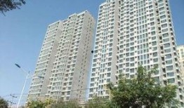 石家庄新楼爆料事件最新